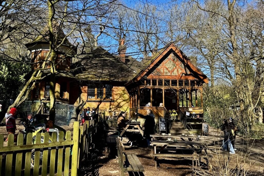A cosy wooden café nestled in the heart of Queen’s Wood in Highgate, surrounded by lush greenery, offering homemade food and a peaceful retreat