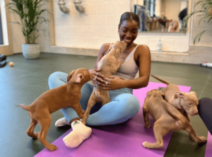 Puppy yoga in London at Puply Finsbury Park with cute puppies and relaxing yoga poses